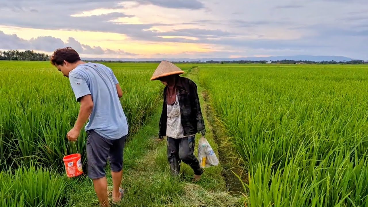 NGUREK BELUT DISAWAH