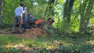 How to Remove an Old Stump and Trunk Near a Fence Line