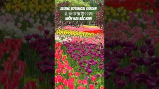 Beijing Botanical Garden      北京市植物公园                     Vườn Hoa Bắc Kinh