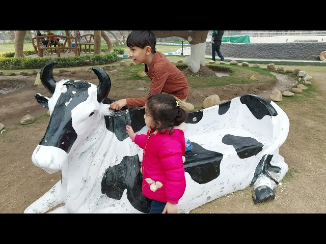 cow lovers kids . maheen cuteness. cover