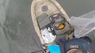 Kayak Angeln Grapper Catfish13 Schleppen In S.- H.