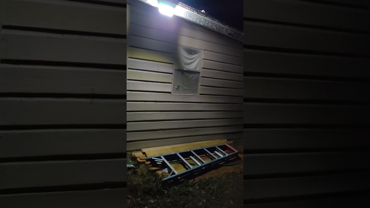 Bell + Howell Solar Bionic Motion Activated LIGHT. Review