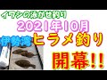 2021年10月　伊勢湾ヒラメ釣り開幕戦に行ってきました！（イワシの泳がせ釣り）
