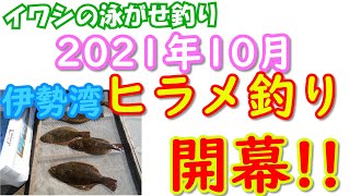 2021年10月　伊勢湾ヒラメ釣り開幕戦に行ってきました！（イワシの泳がせ釣り）