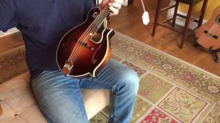 Used Collings Mandolin comparison