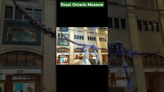 Royal Ontario Museum Tour 🏛️ | Dinosaurs |Ancient Treasures |Canada 🇨🇦 biggest Museum