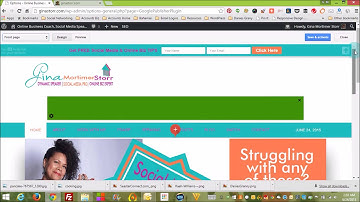 Official Google Adsense Plugin: How To Install and Use it.