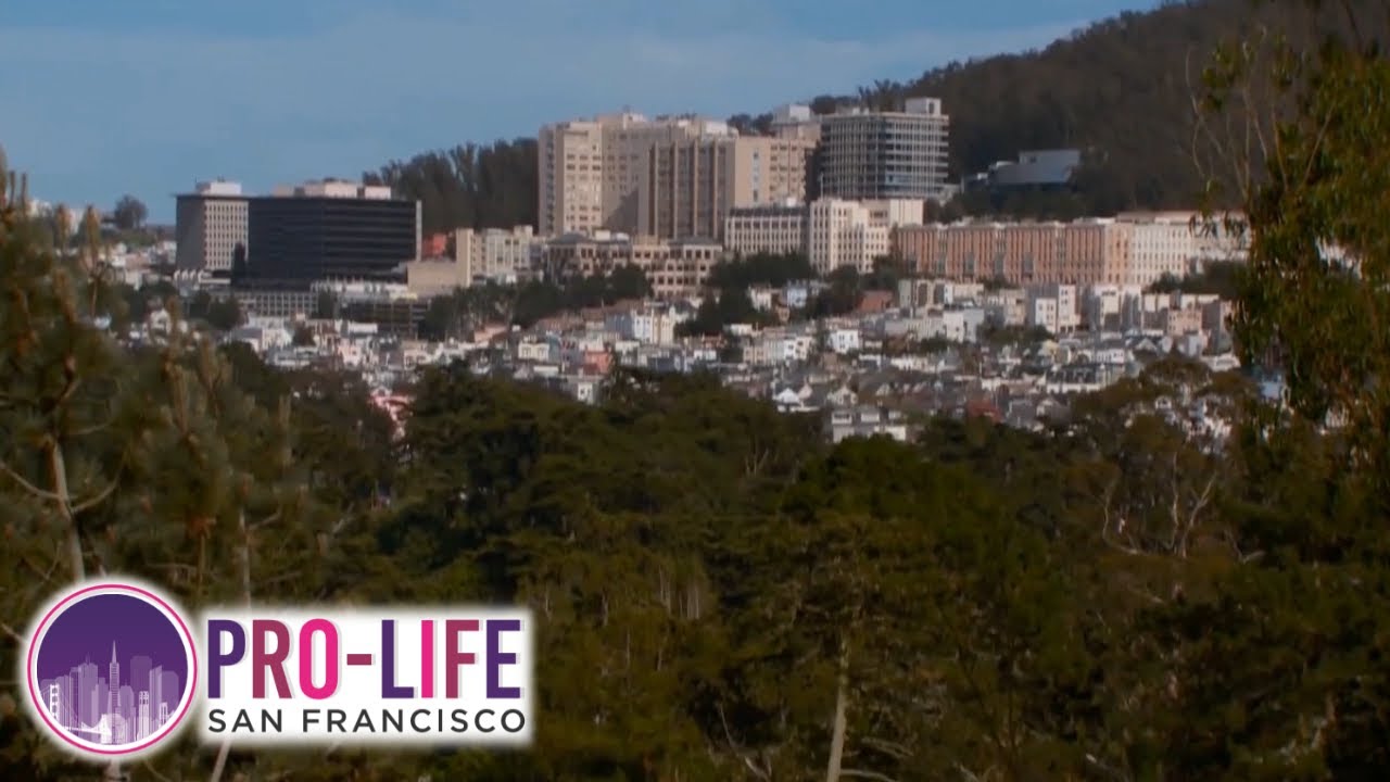 University of California San Francisco: An American Horror Story