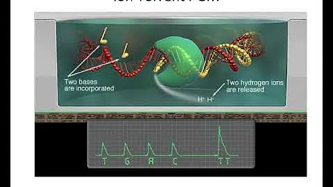Introduction to Cancer Genomics