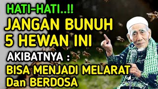 HATI-HATI..!! JANGAN BUNUH 5 HEWAN INI JIKA ANDA TIDAK INGIN HIDUP SUSAH SELAMANYA DAN BERDOSA