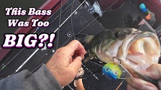 Cashing a Check in the Big Bass Bash