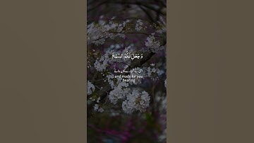 Surah As-Sajda 32:8-9 - سورة السجدة آیت 🌱👑🌟 #Quran #HumanCreation #SoulAwakening #HumanOrigin