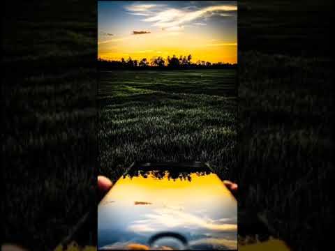 صورة وقت غروب الشمس لا تقدر بثمن