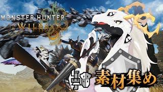 【 モンハンワイルズ参加型】(概要欄必読)ガンランスが使いたいが珠も属性別もねえので作りつつ【Vtuber 白流といち】