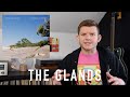 The Glands - DOUBLE CODA - Album Review