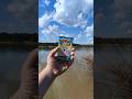 Pokémon Journey Together x Ray Roberts State Park (Isle du Bois Unit) - Lost Pines Trail