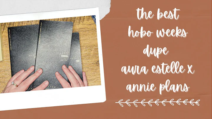 The BEST Weeks Dupe! AuraEstelle x Annie Plans