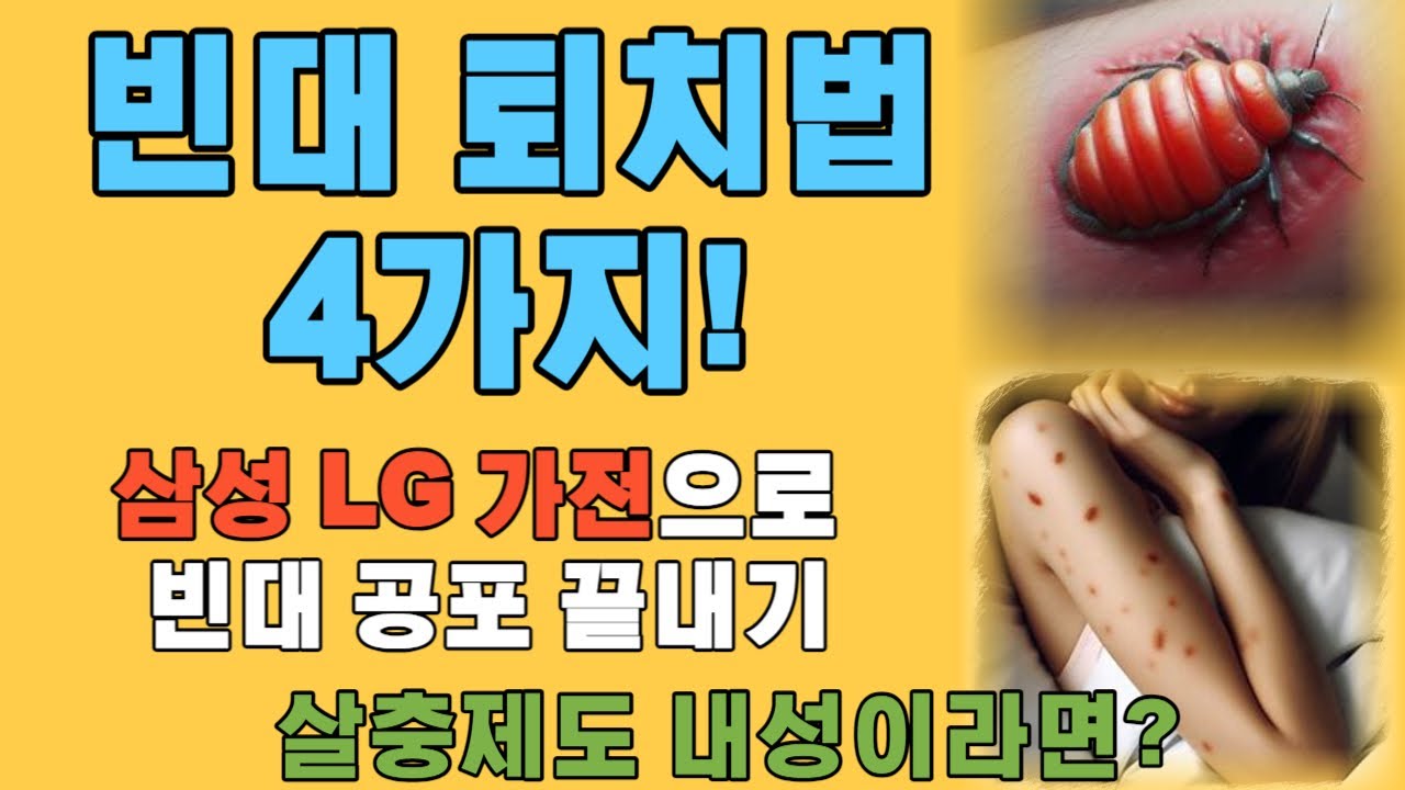 빈대 퇴치법 4가지! 삼성 LG 가전으로 빈대 공포 끝내기 - YouTube