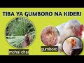 TIBA YA ASILI KWA KIDERI NA GUMBORO Magojwa Ya Kuku Ufugaji Wa Kuku Wa Kienyeji 