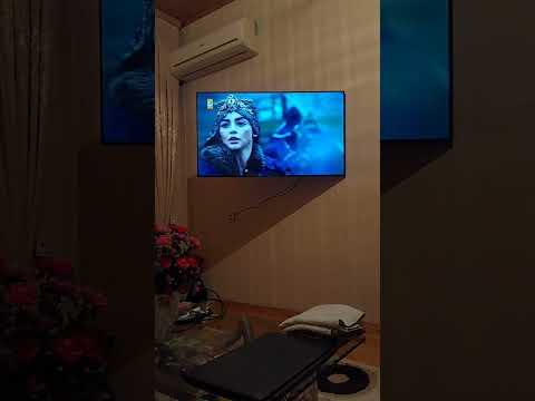 Subscribe Facts Foryou Sad Shortvideo Subscribe 