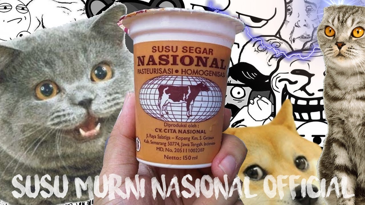 Susu Murni Nasional Remix Feat Cat Fails Compilation Meme YouTube