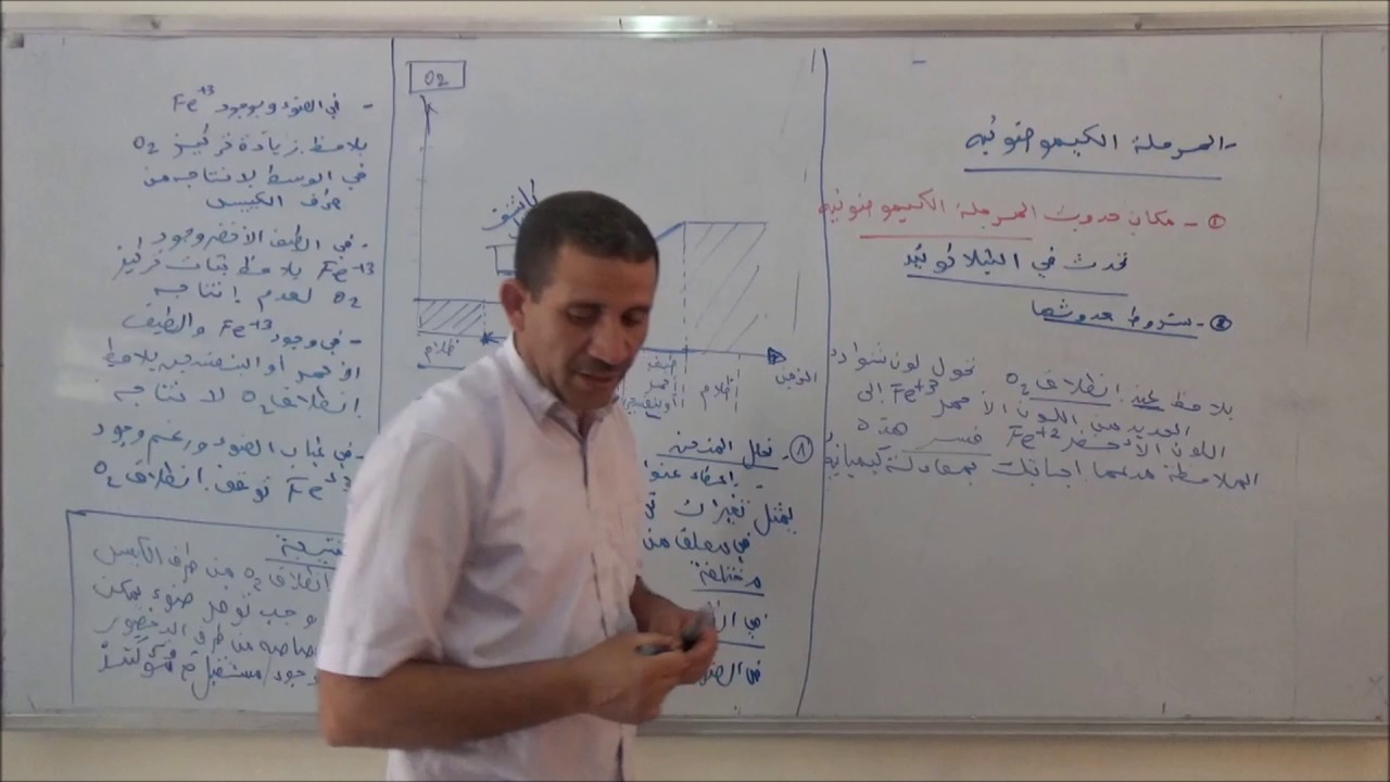 المجال 2  التركيب الضوئي الجزء 3 المرحلة الكيموضوئية