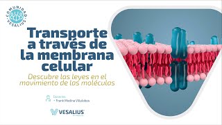 CLASE MAGISTRAL: TRANSPORTE A TRAVÉS DE LA MEMBRANA CELULAR