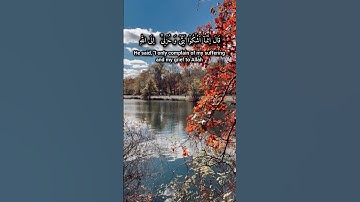 اكتب شي تؤجر عليه #سورة_يوسف #راحة_نفسية #تلاوة_خاشعة #القرآن_الكريم #القارئ #اسلام_صبحي