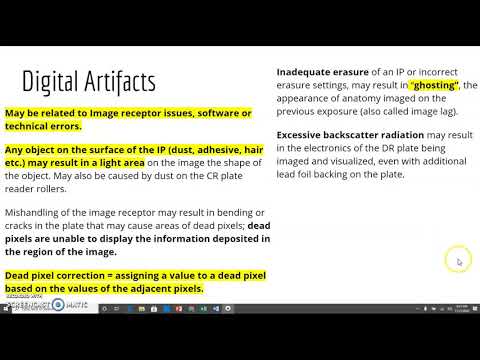 Digital Terms & Artifacts