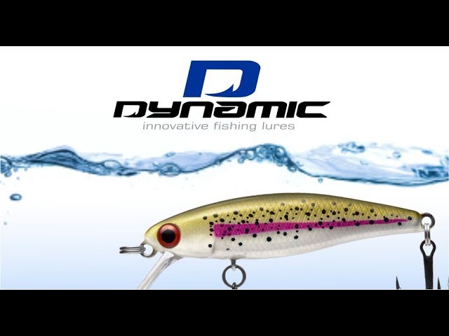  Customer reviews: Dynamic Lures Trout Fishing Lure, Multiple  BB Chamber Inside, (2) - Size 10 Treble Hooks, for Bass, Trout, Walleye,  Carp, Count 1