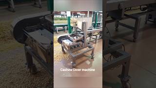 cashew Dicer machine,tukda machine#dicer#cashewprocessingmachine#cashew#tukda