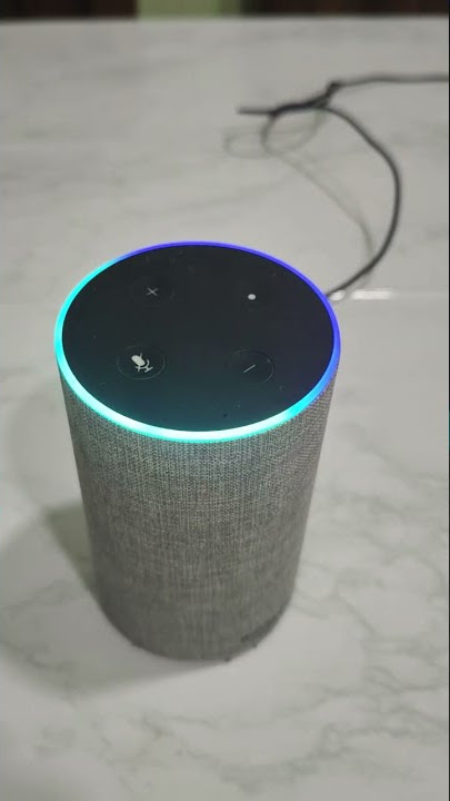 4 -Ask Alexa | Factory Reset Amazon Echo/Echo Dot/Echo Plus/Echo Show