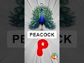 P for Peacock | Can Kids Guess This? #kidubidu #kidslearning #abclearning #shorts #viralreels