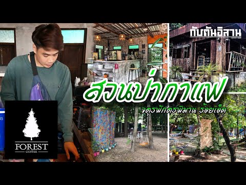 สวนป่ากาแฟ Forest Coffee คาเฟ่สไตล์ธรรมชาติเมืองเกินร้อย101