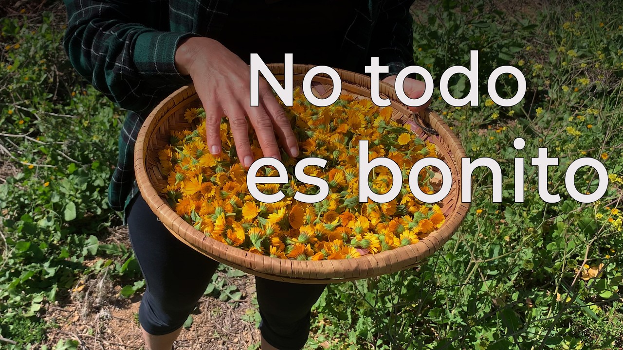 Trabajar en el campo tiene consecuencias (y así lo solucionamos)