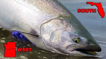 When SOUTH Meets WEST. Official Salmon & Steelhead Short Film.
