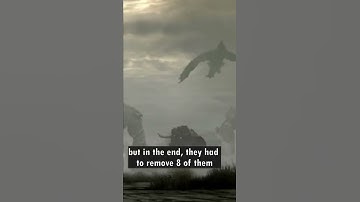 Did You Know That For SHADOW OF THE COLOSSUS...