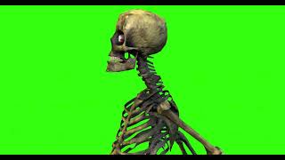 SKELETON #18  || GREEN SCREEN || 4k || ANIMATION  || FREE 3D screenshot 3
