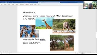 What Makes a Good Habitat? Animals