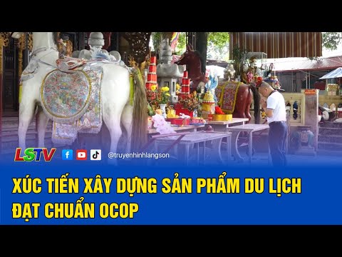 Xúc tiến xây dựng sản phẩm du lịch đạt chuẩn OCOP
