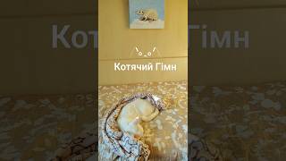 котячий гімн