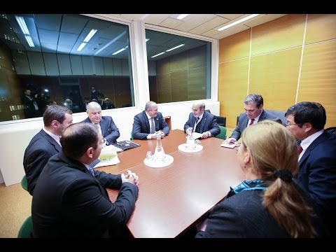 საქართველოს პრეზიდენტი ჟოზე გრაციანო და სილვას შეხვდა