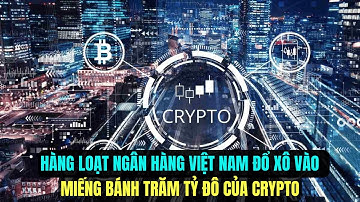 Ngân hàng Việt đổ xô vào Crypto: Miếng bánh trăm tỷ USD và cuộc chơi sống còn!