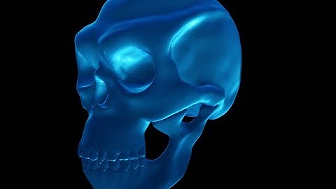 Skull Hologram Video