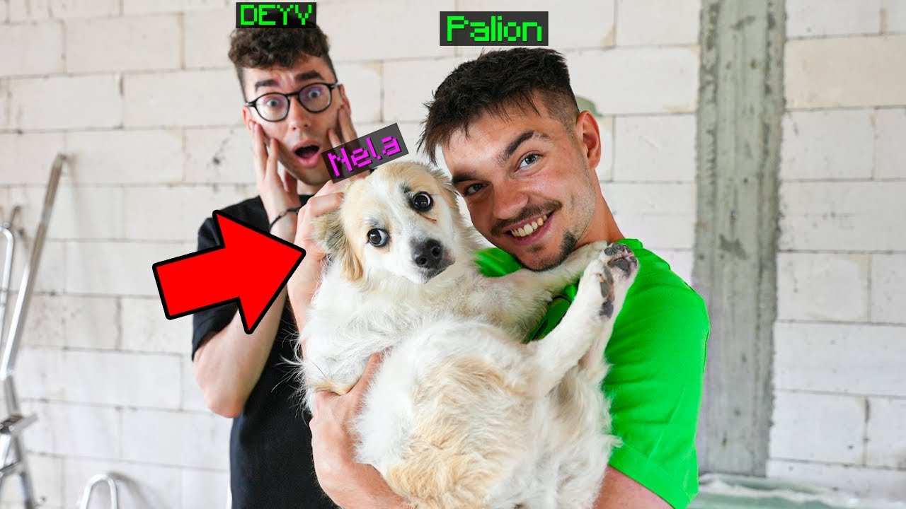 URATOWALIŚMY MOJEGO PIESKA NELE! 🦴😍