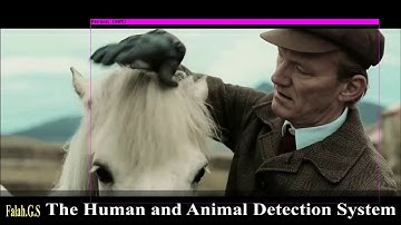 The Human and Animal Detection System