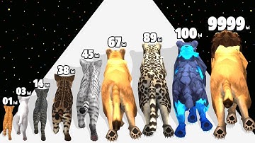 Cat Runner Evolution - Level Up Cat Max Level Gameplay