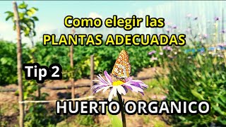 Tip 2 - Elige plantas adecuadas para tu huerto - Consejos  y  recomendaciones