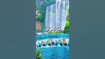 تلاوة نادرة تخشع لها القلوب | الشيخ عبد الباسط عبد الصمد – سورة الحشر#عبدالباسط_عبدالصمد