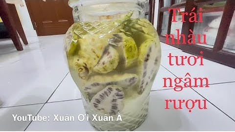Trái nhàu tươi ngâm rượu giảm đau nhức xương khớp, chứng đau nửa đầu, tốt miễn dịch, tốt hệ tiêu hoá